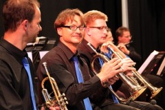 bad_buchau30_20110503_1731073275