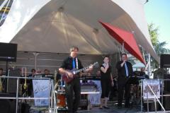 brunnenfest_laupheim_201214_20120912_1626791112
