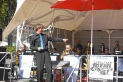 brunnenfest_laupheim_20125_20120912_2025558967