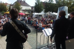 brunnenfest_laupheim11_20141026_1454355766