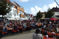 brunnenfest_laupheim1_20141026_1215855716