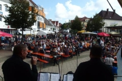 brunnenfest_laupheim9_20141026_1520716180