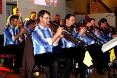20080421_1773461844_musiker2