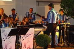 20080421_2054193372_musiker1