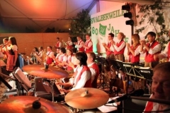 dirndl-party_alberweiler14_20110801_1938159700