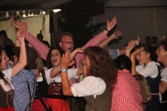 dirndl-party_alberweiler8_20110801_1517425316