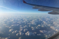 florida_2012149_20121208_1366493664
