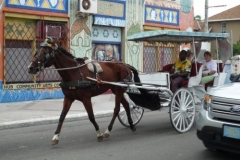 florida_201289_20121208_2099837085