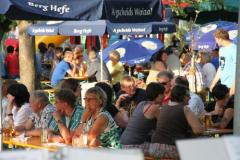 gartenfestparty7_20140610_1814601049