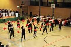 herbstball_rissegg_201132_20111128_1472219919