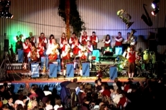 20080709_1446774325_konzert_maselheim_3