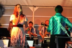 radgassenfest11_20100712_2062485976