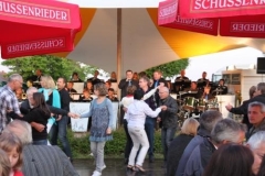 sommerfestival_201130_20110607_1970279644