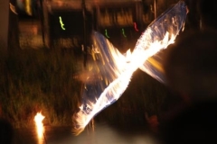 sommerfestival_201158_20110607_1220903355