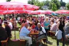 sommerfestival_201160_20110607_1262055318
