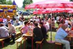 sommerfestival_201161_20110607_2064244470