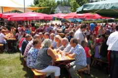 sommerfestival_201163_20110607_1947573413