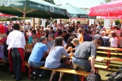 sommerfestival_201164_20110607_1647165746