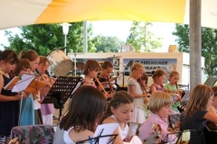 sommerfestival_201178_20110607_1866242984