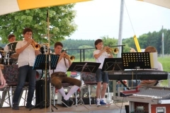 sommerfestival_201234_20120602_1200233684