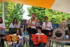 sommerfestival_201235_20120602_1895558557
