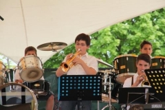 sommerfestival_201236_20120602_1662503142