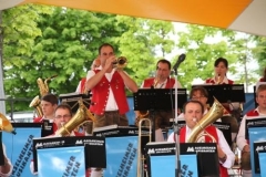 sommerfestival_201266_20120602_1361241601