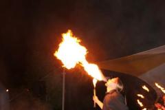 sommerfestival_201340_20130617_2099802800