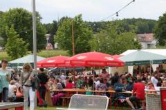sommerfestival_201443_20140610_1894948296