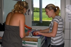 helfer_sf_0912_20090613_1709730871